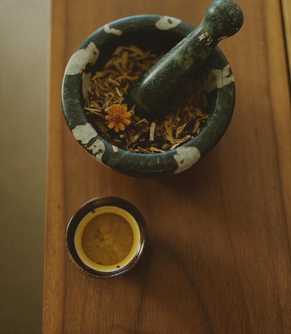 Ayurveda & Wellness in India