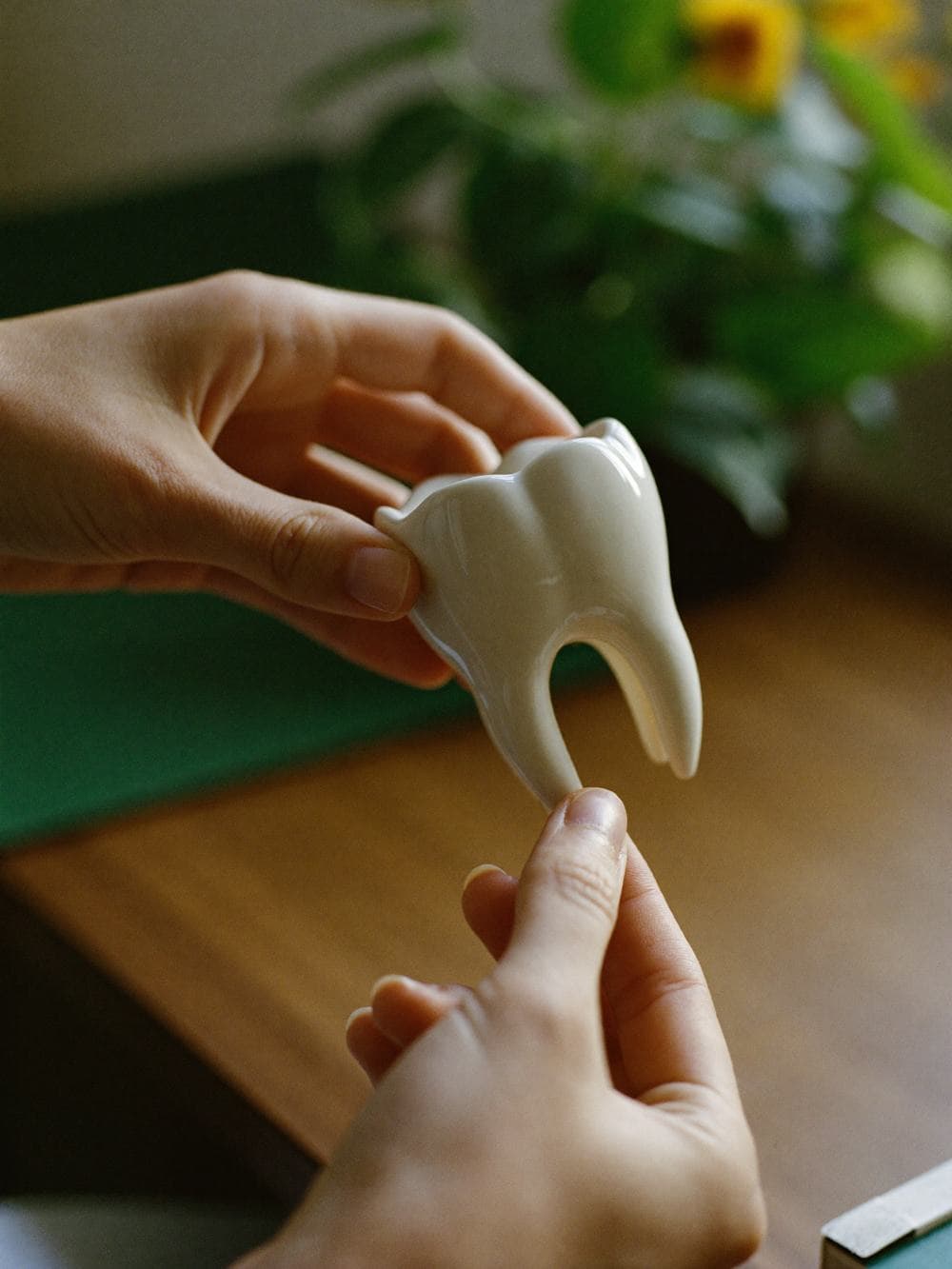 Dental & Smile in India