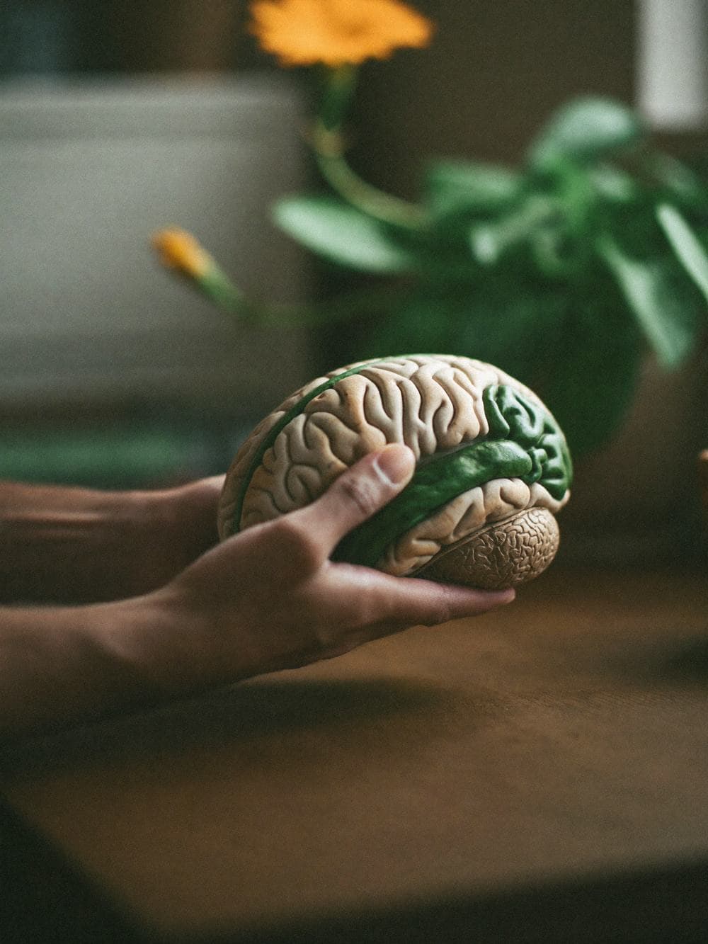 Neurosurgery in India