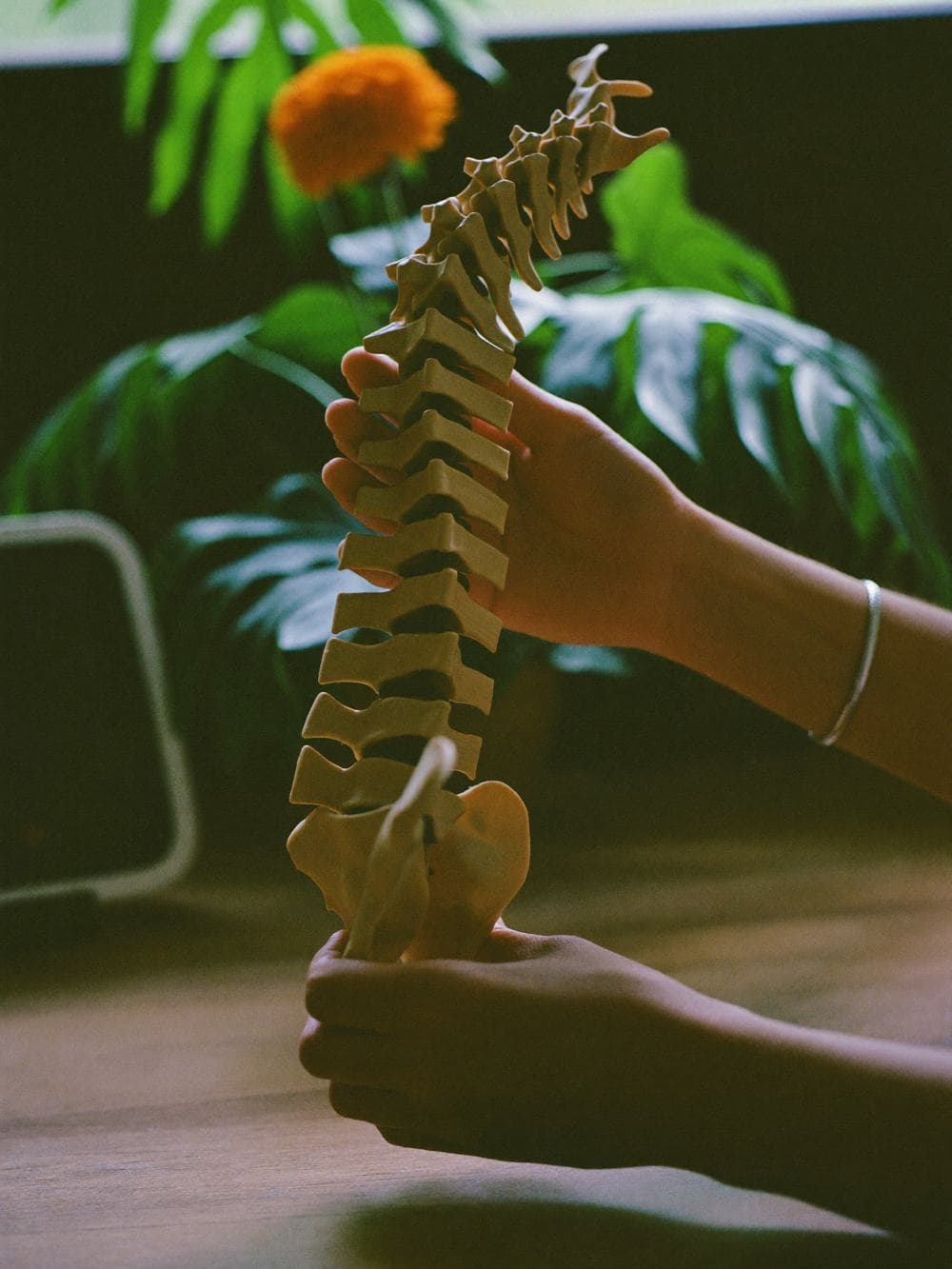 Spine Surgery in India